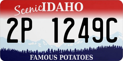 ID license plate 2P1249C