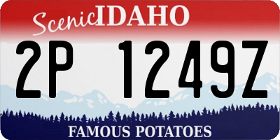 ID license plate 2P1249Z