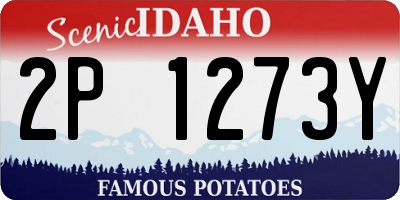 ID license plate 2P1273Y