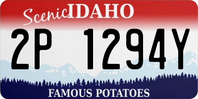 ID license plate 2P1294Y