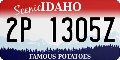 ID license plate 2P1305Z