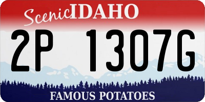 ID license plate 2P1307G