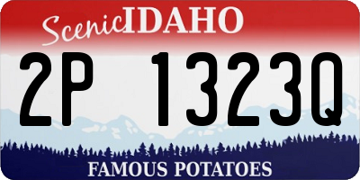 ID license plate 2P1323Q