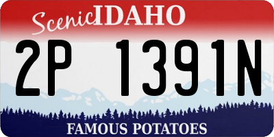 ID license plate 2P1391N