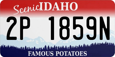 ID license plate 2P1859N