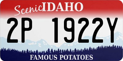 ID license plate 2P1922Y