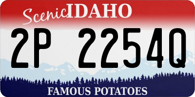 ID license plate 2P2254Q