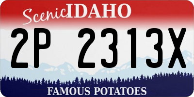 ID license plate 2P2313X