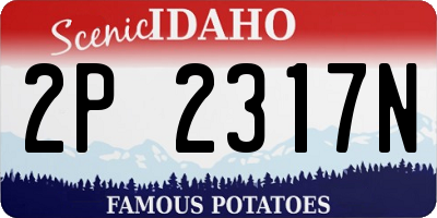 ID license plate 2P2317N