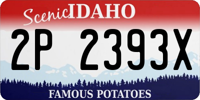 ID license plate 2P2393X
