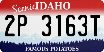 ID license plate 2P3163T