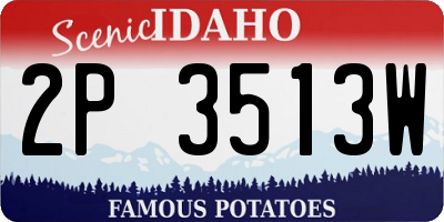 ID license plate 2P3513W