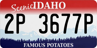 ID license plate 2P3677P
