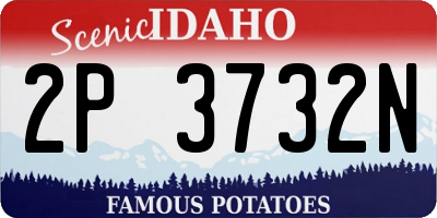ID license plate 2P3732N