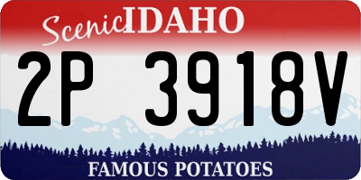 ID license plate 2P3918V