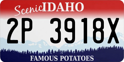 ID license plate 2P3918X