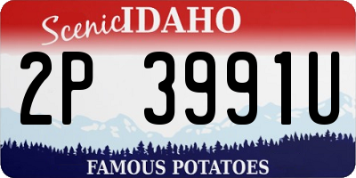 ID license plate 2P3991U