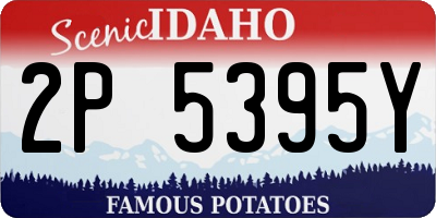 ID license plate 2P5395Y