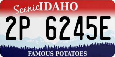 ID license plate 2P6245E