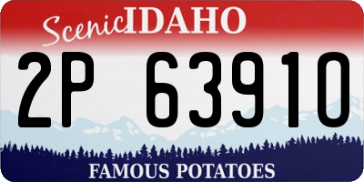 ID license plate 2P6391O