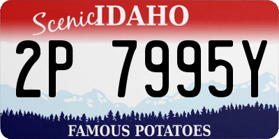 ID license plate 2P7995Y