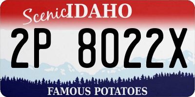 ID license plate 2P8022X