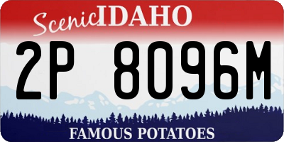 ID license plate 2P8096M