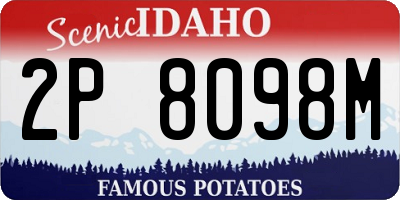 ID license plate 2P8098M