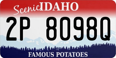 ID license plate 2P8098Q