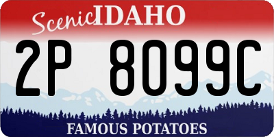 ID license plate 2P8099C