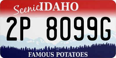 ID license plate 2P8099G