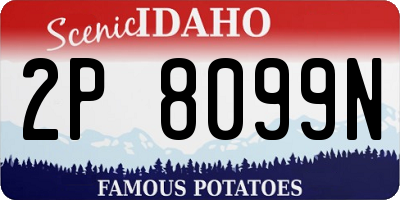 ID license plate 2P8099N