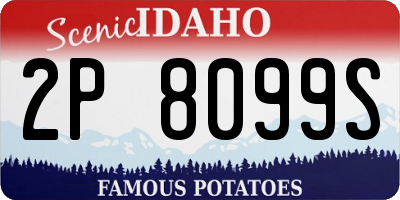 ID license plate 2P8099S