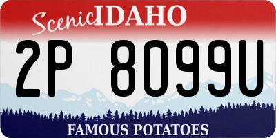 ID license plate 2P8099U