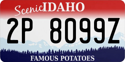 ID license plate 2P8099Z