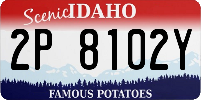 ID license plate 2P8102Y
