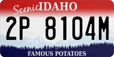 ID license plate 2P8104M