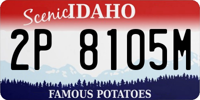 ID license plate 2P8105M