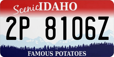 ID license plate 2P8106Z