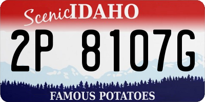 ID license plate 2P8107G