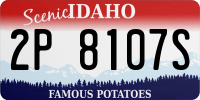 ID license plate 2P8107S