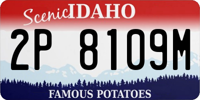 ID license plate 2P8109M