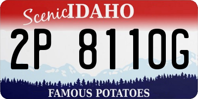 ID license plate 2P8110G