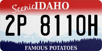 ID license plate 2P8110H