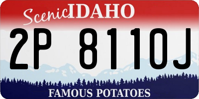 ID license plate 2P8110J