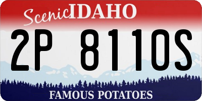 ID license plate 2P8110S