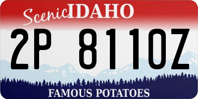 ID license plate 2P8110Z