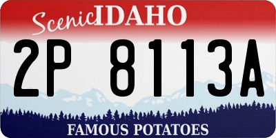 ID license plate 2P8113A