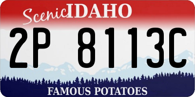 ID license plate 2P8113C