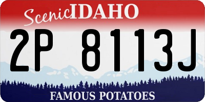 ID license plate 2P8113J